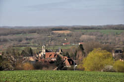 Ouvrier agricole polyvalent / Ouvrière agricole polyvalente