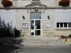 photo Employé polyvalent / Employée polyvalente de libre-service