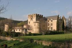 photo Visite du Château d'Allemagne-en-Provence