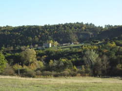 photo Des Roses et des cailloux