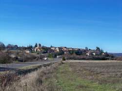 photo Marché hebdomadaire