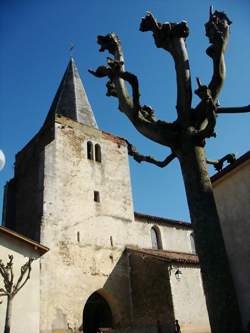 photo Mets et Mots d'Amou : Festins Littéraires, Exposition photo - Ouverture