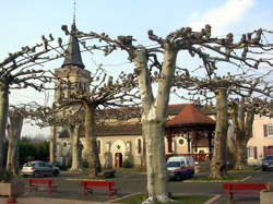 photo Marché traditionnel