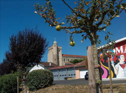 photo Vide Grenier
