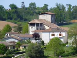 photo Marché des producteurs locaux