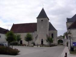 photo Ouvrier / Ouvrière en viticulture