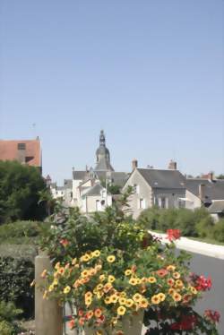 photo Suivi Chouette hulotte et initiation ornithologique à la Ville-aux-Clercs