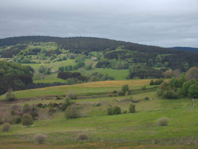 Vue de Jeansagnière - Jeansagnière (42920) - Loire