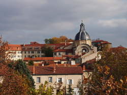 photo Les Journées de l'Arbre