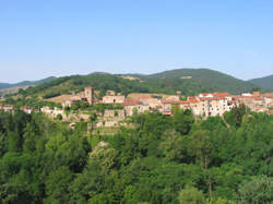 photo Fête de la vigne