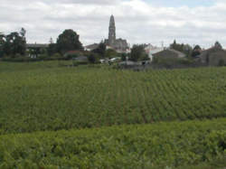 photo MERCREDIS CHAMPÊTRES AU CHÂTEAU DU COING