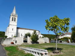 photo Marché du monde rural