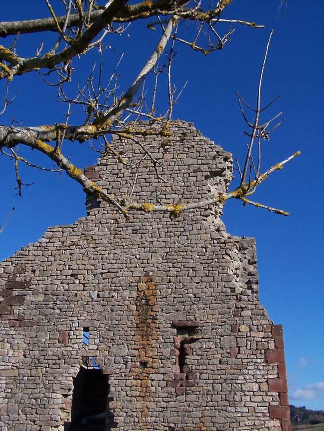 La ruine du château de Canilhac en 2010 - Canilhac (48500) - Lozère