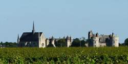 photo Collégiale Notre-Dame du Bellay