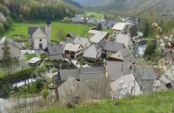 photo La panthère des neiges