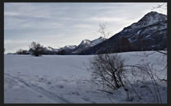 photo Marché hebdomadaire de Villeneuve - Hiver