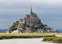 photo Les belles découvertes au Mont-Saint-Michel > Un jour, une espèce