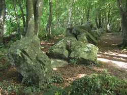 Pierres à légendes du bois des roches de Rocheville