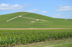 photo Fascinant Week-end V&D : Pressoria accueille deux vignerons