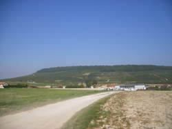 photo Bergères-lès-Vertus