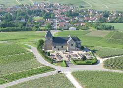 photo Vendanges au Champagne Lequien & Fils