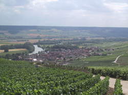 photo Fête des vendanges de Cumières