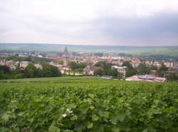 photo Fascinant Week-end V&D : Bubble Champagne Tour