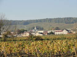 photo Hôte / Hôtesse d'accueil bilingue