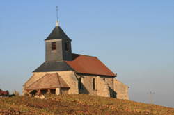 photo Visite guidée dans les vignes de Mutigny