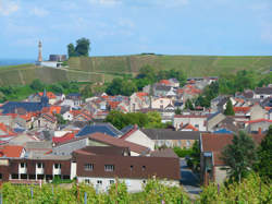 photo Le Cochelet Des Vendanges