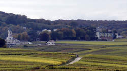 photo Veuve Clicquot - Déjeuner des vendanges