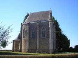 photo Oiseaux des landes