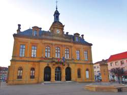 photo VENDS FONDS DE COMMERCE FLEURS A LONGUYON