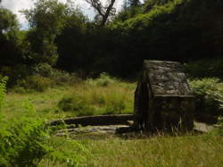 photo Ouvrier / Ouvrière de découpe de viandes