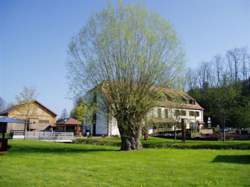 photo MARCHÉ D'AUTOMNE AU MOULIN D'ESCHVILLER