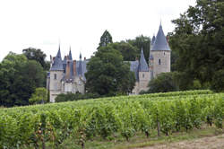 photo Ouverture des extérieurs du Château de Tracy