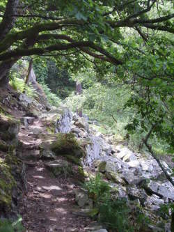 photo Découverte Faune et Flore des Gorges de Villiers