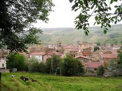 photo Marché de producteurs