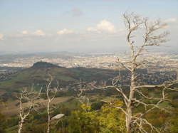 photo Ouvrier / Ouvrière du paysage