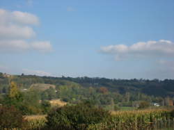 photo Balade vigneronne : Château de Cuqueron