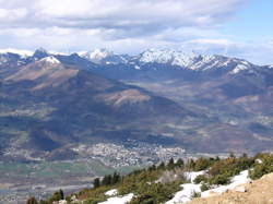 photo Fête des Chiens des Pyrénées