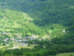 photo Sortie nature d'Eco'DELS : brame du cerf