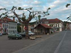 photo Menuisier / Menuisière d'atelier