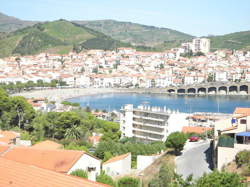 photo VENDANGES EN FÊTE À BANYULS