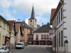 photo Domaine Bohr : de la cueillette à la bouteille