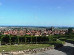 photo Journée des bénévoles au château du Bernstein