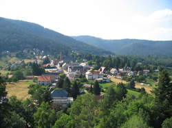 photo Découverte de la forêt