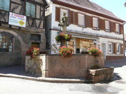 photo A travers les vignobles du Klevener et du Kirchberg en Giropode