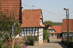 Petit marché du terroir