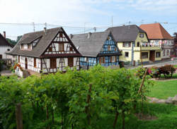 photo Balade ludique à Betschdorf et à Soufflenheim